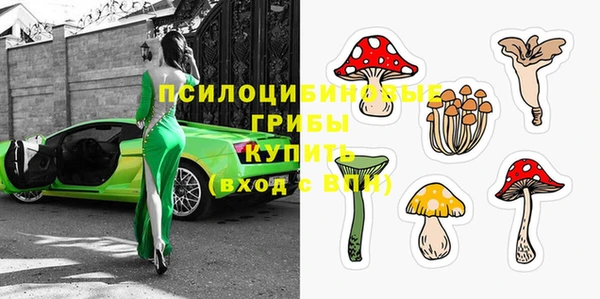PSILOCYBIN Алексин