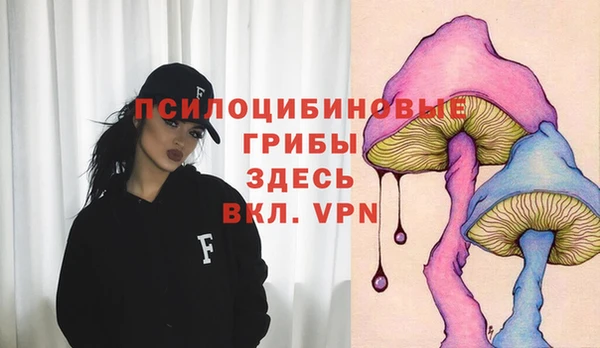 прущие крисы Армянск
